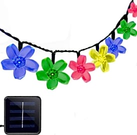 Vmanoo Flower Blossom