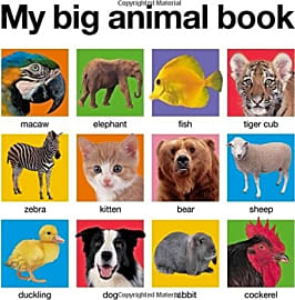 My Big Animal Book