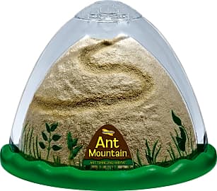 Insect Lore Mountain