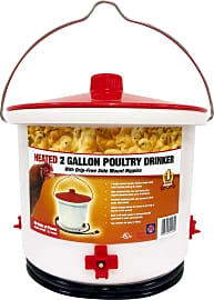 Farm Innovators Poultry Drinker