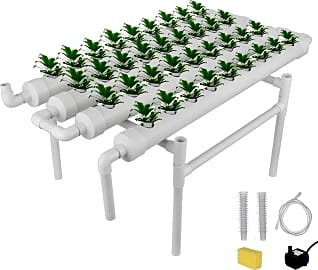 DreamJoy Ebb and Flow