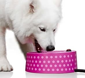 Petfactors 2.2-Liter