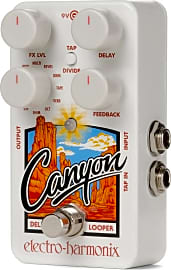 Electro-Harmonix Canyon Delay & Looper