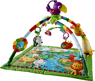 Fisher-Price Rainforest Deluxe