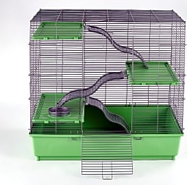 Kaytee My First Home Multi-Level