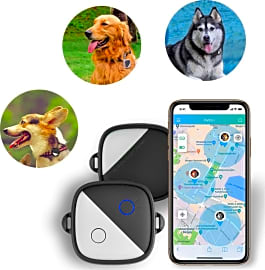 Petfon Activity Monitor