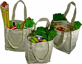 Simple Ecology Natural