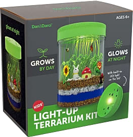Dan & Darci Light-Up Terrarium