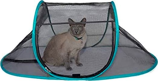 Nala and Company CT2.0