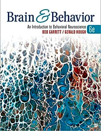 Brain & Behavior