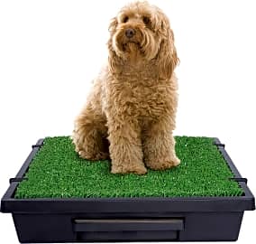PetSafe Pet Loo