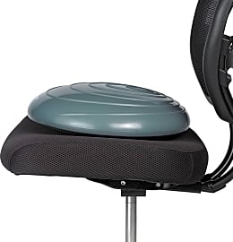 Gaiam Wobble Trainer