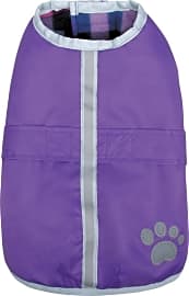 Zack & Zoey Nor'easter