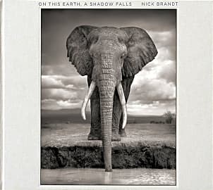 On This Earth, A Shadow Falls