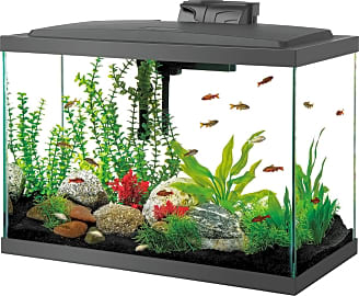 Aqueon Aquarium Kit