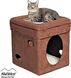 Midwest Curious Condo