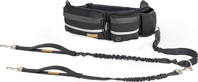 Furry Buddy Training