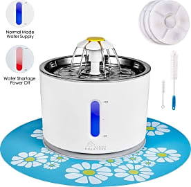 Wonder Creature Intelligent