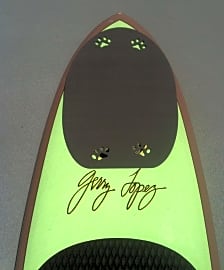 Better Surf...than Sorry Paddle with Your Dog