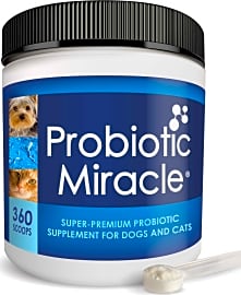 Nusentia's Probiotic Miracle