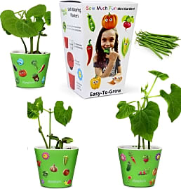 Window Garden So Much Fun