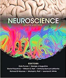 Neuroscience: 6th Edition