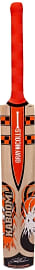 Gray-Nicolls Kaboom Smash