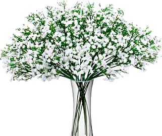 Bomarolan Baby's Breath