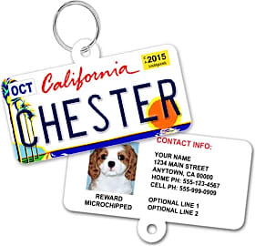 1 Cute Pooch License Plate