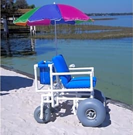 Aqua Creek Articulated