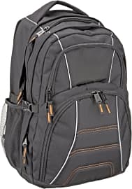 AmazonBasics 17-Inch