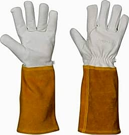 Suse's Kinder Falconer