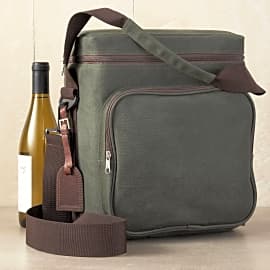 Wine Enthusiast Weekend Carrier