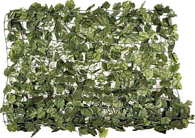 EZ-Ivy Dramatic Danica