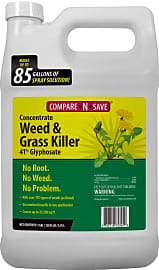 Compare-N-Save Concentrate