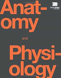OpenStax Anatomy & Physiology