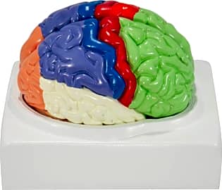 Axis Scientific Colored