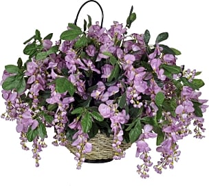 House of Silk Flowers Wisteria