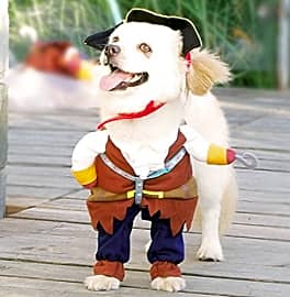 Idepet Pirate Outfit