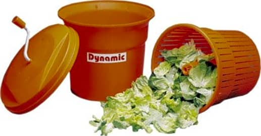 Dynamic International