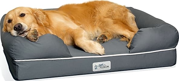 PetFusion Ultimate Lounge IBM