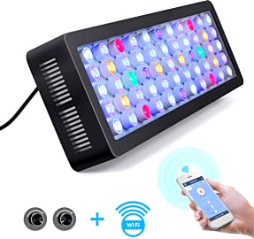 Lightimetunnel Dimmable