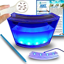 Evviva Sciences Cosmos