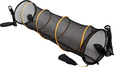 Outback Jack Fun Run