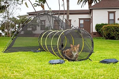 Outback Jack Kitty Compound