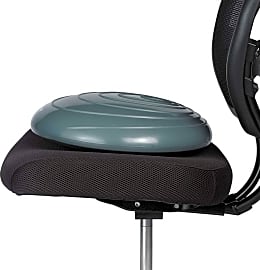 Gaiam Disc Trainer