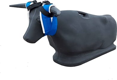 Rope It Up Speed Steer