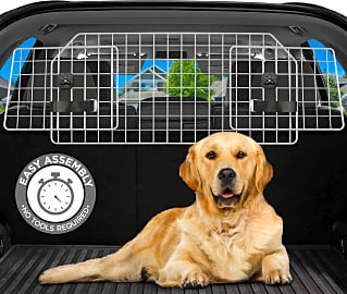 Jumbl Pet Adjustable