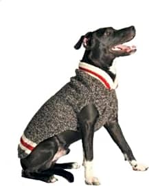 Chilly Dog Boyfriend