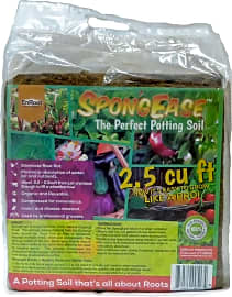 Spongease Compressed Block